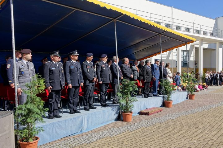DSC05088 Custom